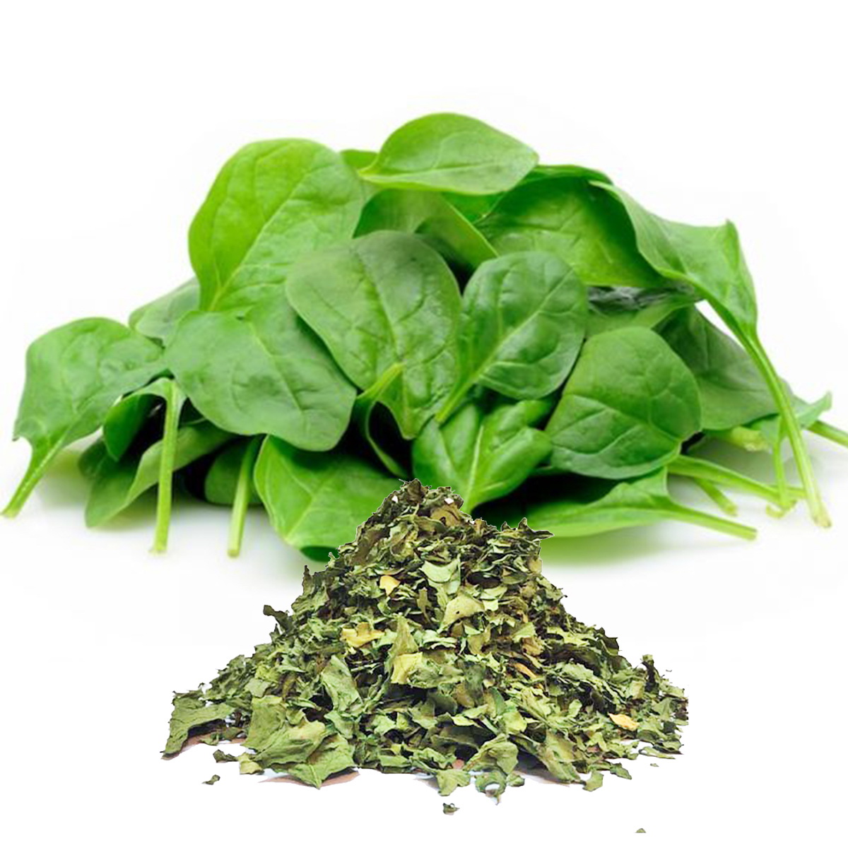 Dried - Spinach