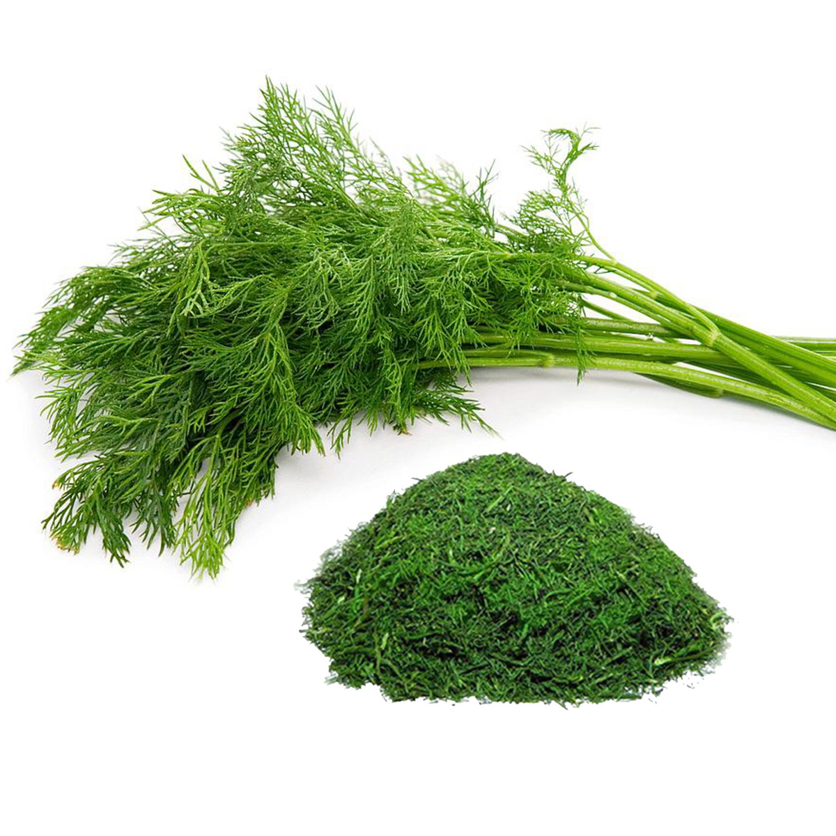 Dried - dill